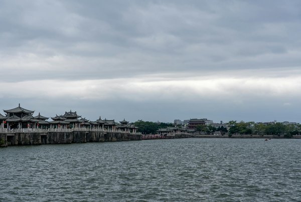 Comprendre les probiotiques : bienfaits et impact sur votre santé digestive